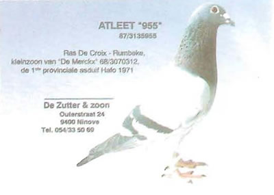 atleet_955