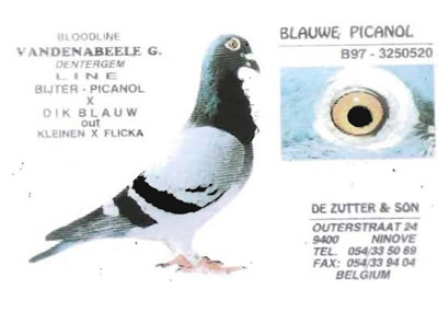 blauwe_picanol