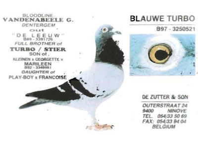 blauwe_turbo
