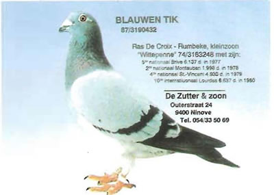 blauwen_tik
