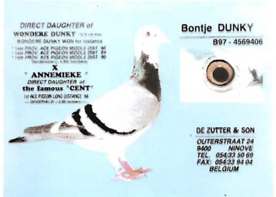 bontjie_dunky