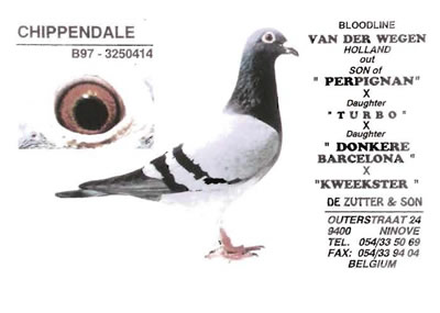chippendale