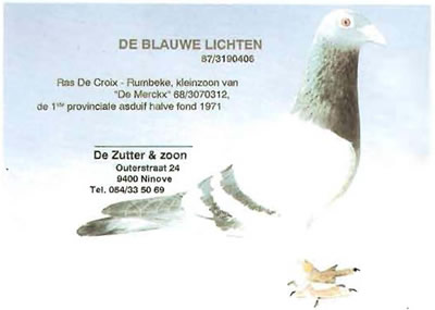 de_blauwe_lichten