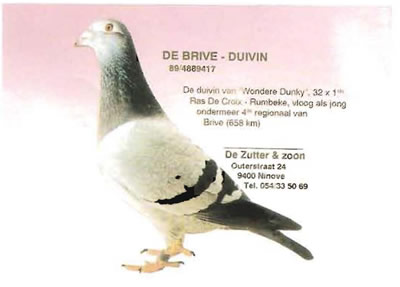 de_brive_duivin