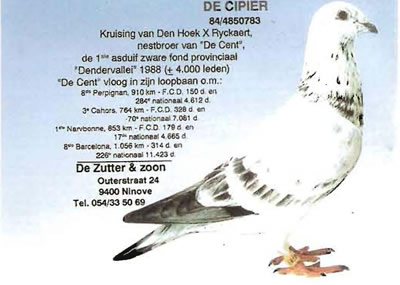 de_cipier