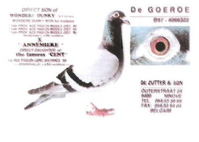de_groeroe