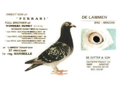 de_lammen