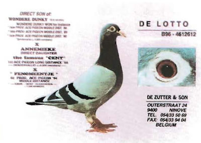 de_lotto