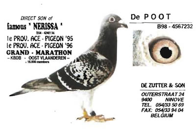 de_poot
