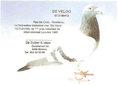 de_veloo