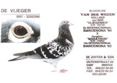 de_vlieger