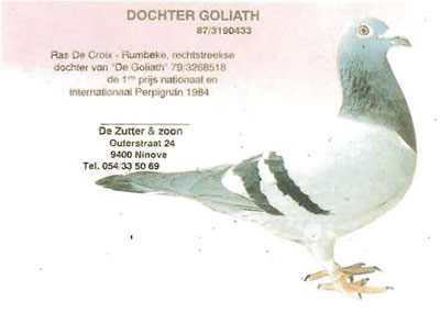 dochter_goliath