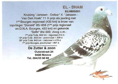 el_sham
