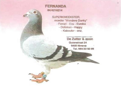 fernanda