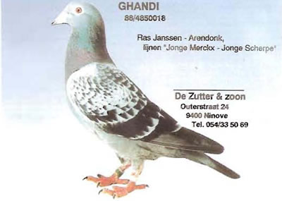 ghandi