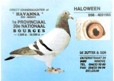 haloween