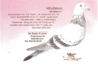 helemaal
