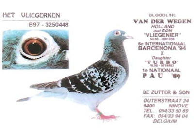 het_vliegerken