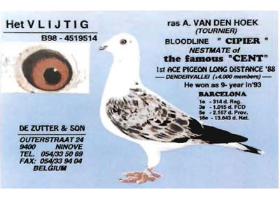 hetvlijtig