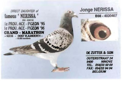 jonge_nerrissa