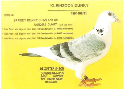 kleinzoon_dunky