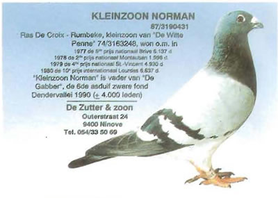 kleinzoon_norman