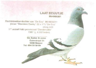 laat_ecuutje