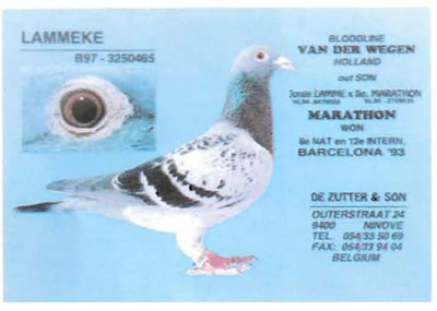 lammeke