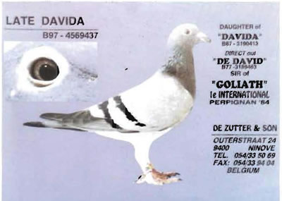 late_davida