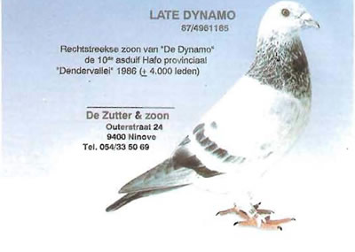 late_dynamo