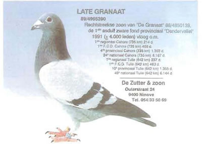 late_granaat