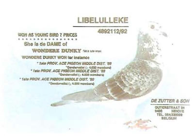 libelulleke