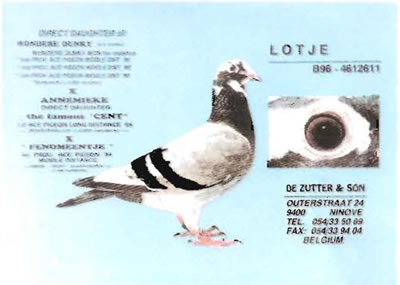 lotje