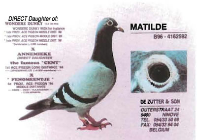 matilde