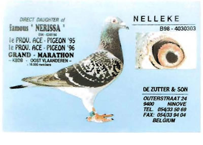 nelleke