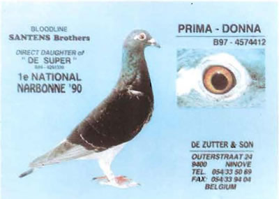 prima_donna