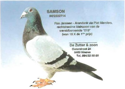 samson
