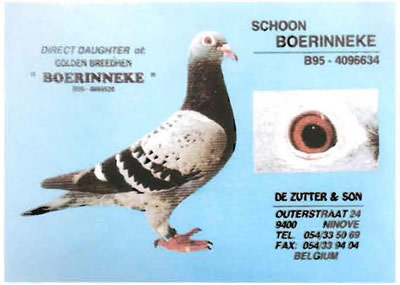 schoon_boerinneke
