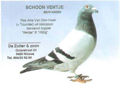 schoon_ventje