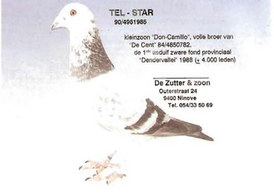 tel_star