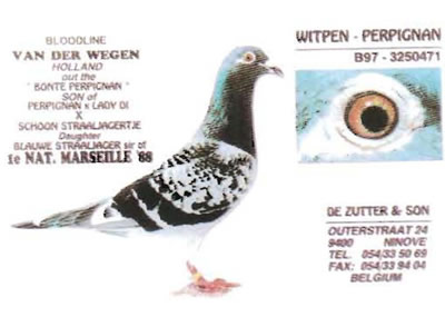 witpen_perpignan