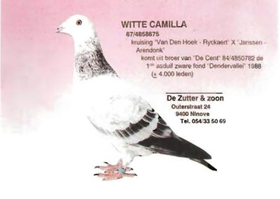 witte_camilla